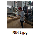 1699498329391.png